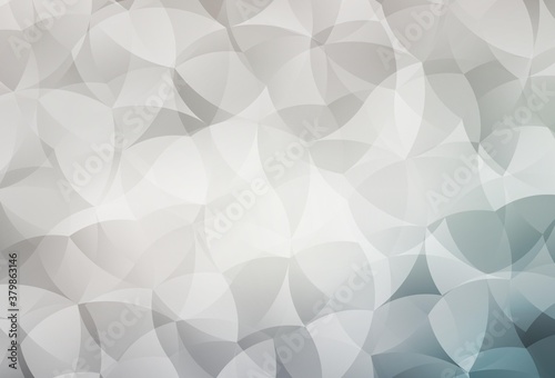 Fototapeta Naklejka Na Ścianę i Meble -  Light Gray vector polygon abstract layout.