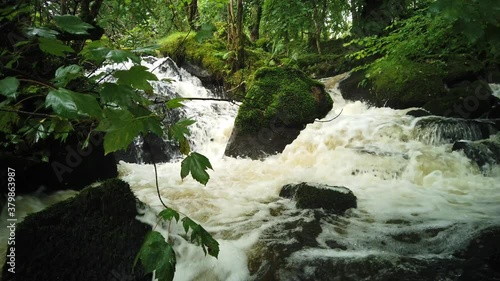 Water cascading over rocks with trees around in 4k 60fps