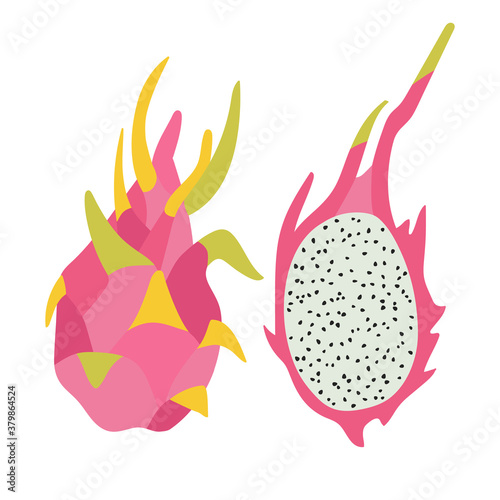 Vector illustration of pink dragon fruit and half of dragon fruit isolated on a white background.  Hand-drawn vector pitaya set. Trendy illustration for web and print design.