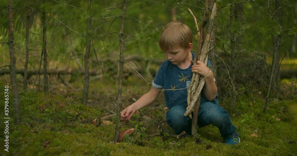 A man in the woods collected sticks and found a mushroom in moss A man in the woods collected sticks and found a mushroom in moss