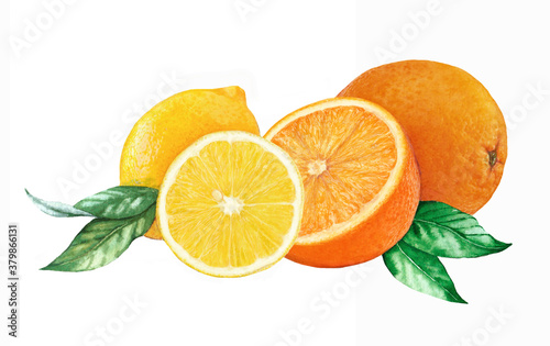 Hand drawn watercolor illustration of lemon and orange - citrus fruits isolated on the white background