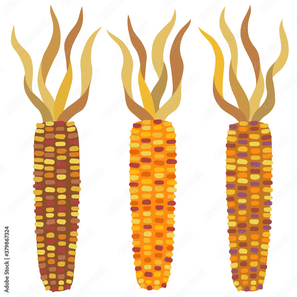 インディアンコーン Images – Browse 5 Stock Photos, Vectors, and