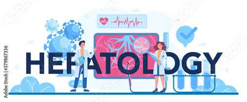 Hepatology typographic header. Doctor make liver examination