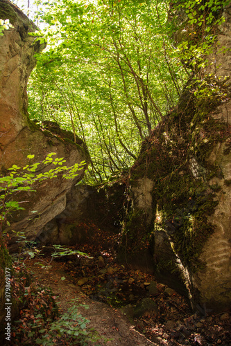 The Huel Lee is man-made caves in Luxembourg Sand-stone. The forest and the surroundings near the caves.