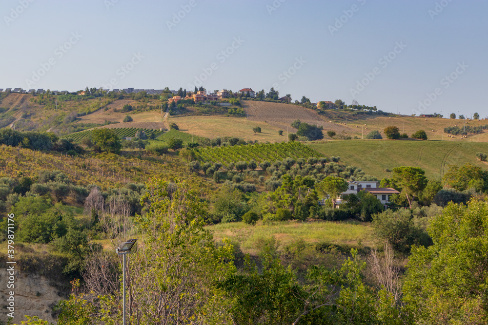 views of the Marche countryside, Italy