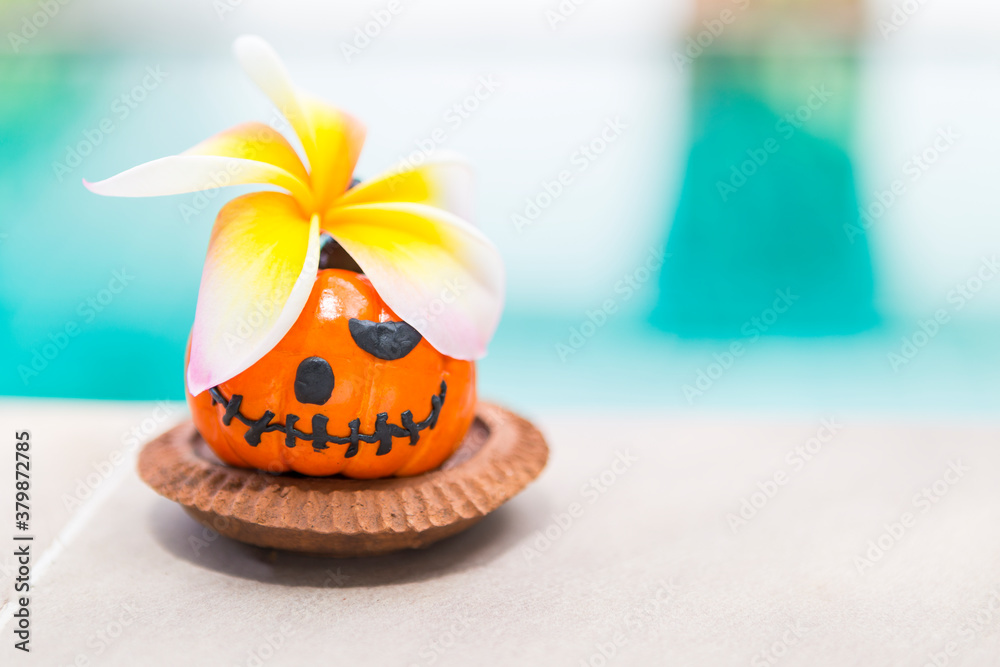 Fototapeta premium Colorful Halloween background concept, beautiful flower on Halloween pumpkin on clay tray over blurred background, outdoor day light