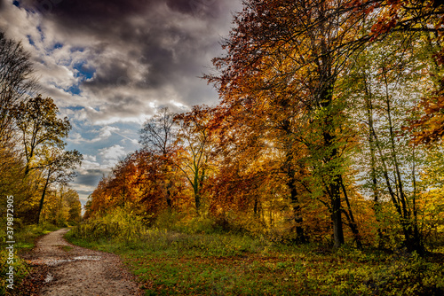 Chemin et couleurs d'automne en HDR