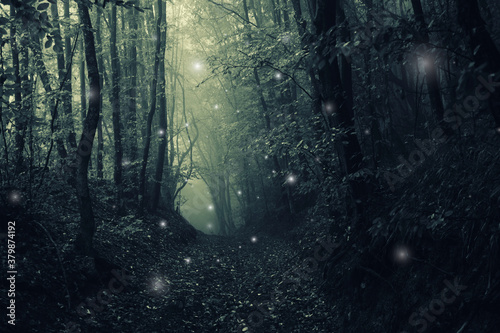 magical forest path  mysterious halloween landscape
