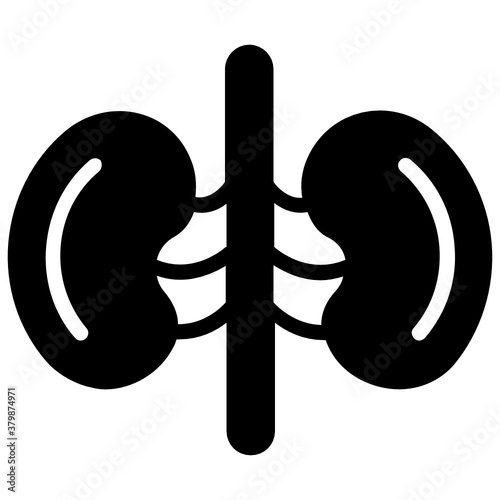 
Human renal system organ icon in flat design, kidneys icon
