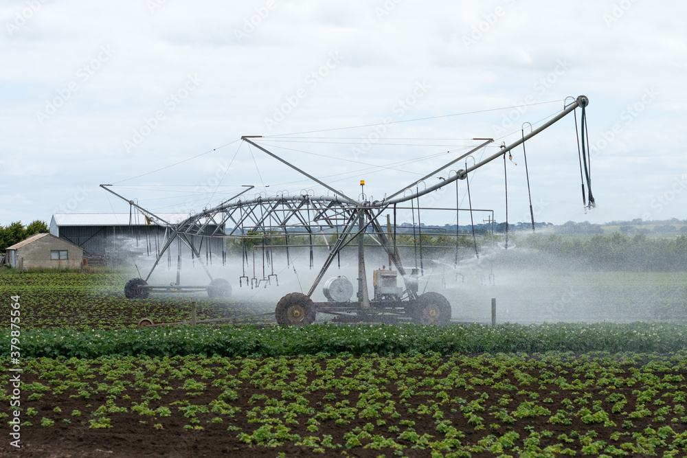 Automated Irrigation machine watering potato crops Automated Irrigation machine watering potato crops