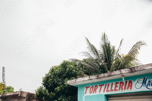 Tortilleria Shop photo