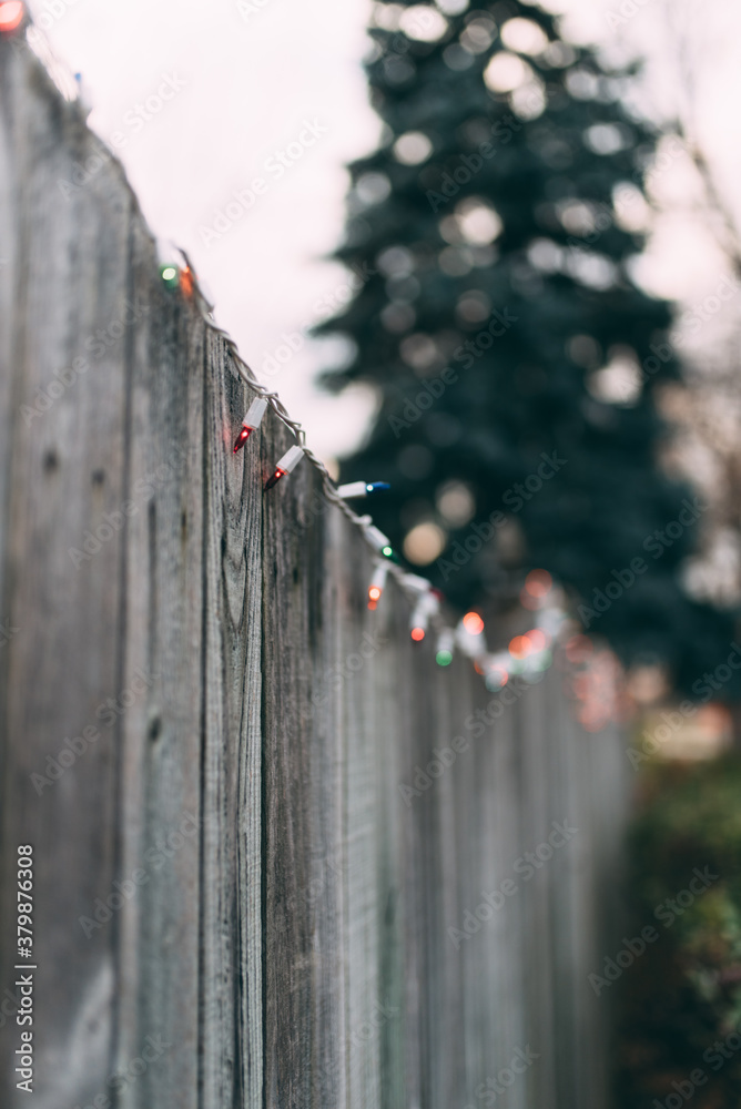 Twinkle lights hanging from a fence Twinkle lights hanging from a fence
