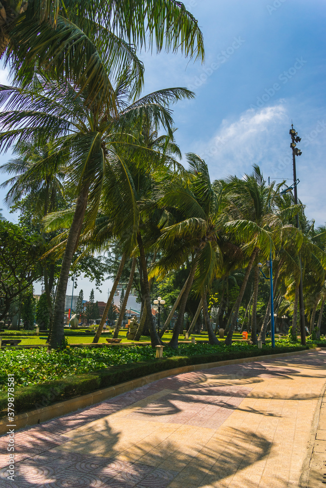 Fototapeta premium tropical view of coconut palm trees in front beach of Vung Tau city with waves, coastline in Vietnam