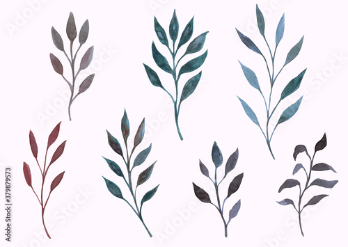 Set of watercolor twigs for decoration and design of cards, invitations. Botanical theme.