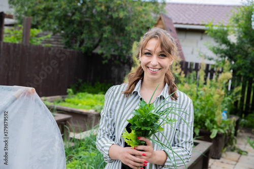 Young beautiful female farmer holding fresh herbs greens from little garden on backyard, home organic eco products, happy woman gardener looks at camera with harvest - green leek, lettuce, parsley