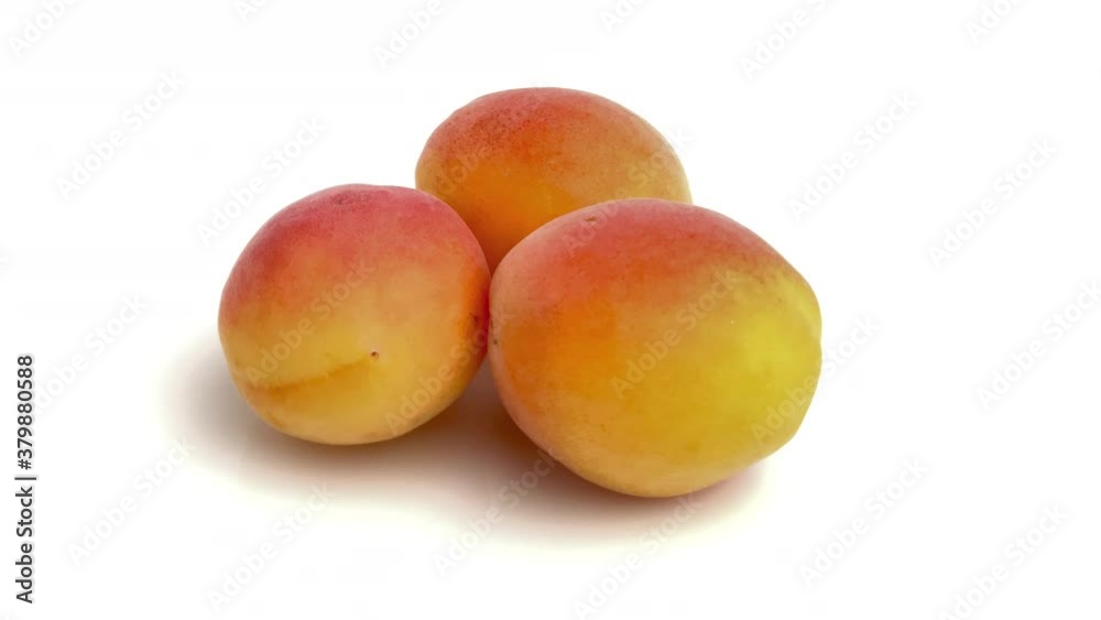 apricot isolated on white background apricot isolated on white background