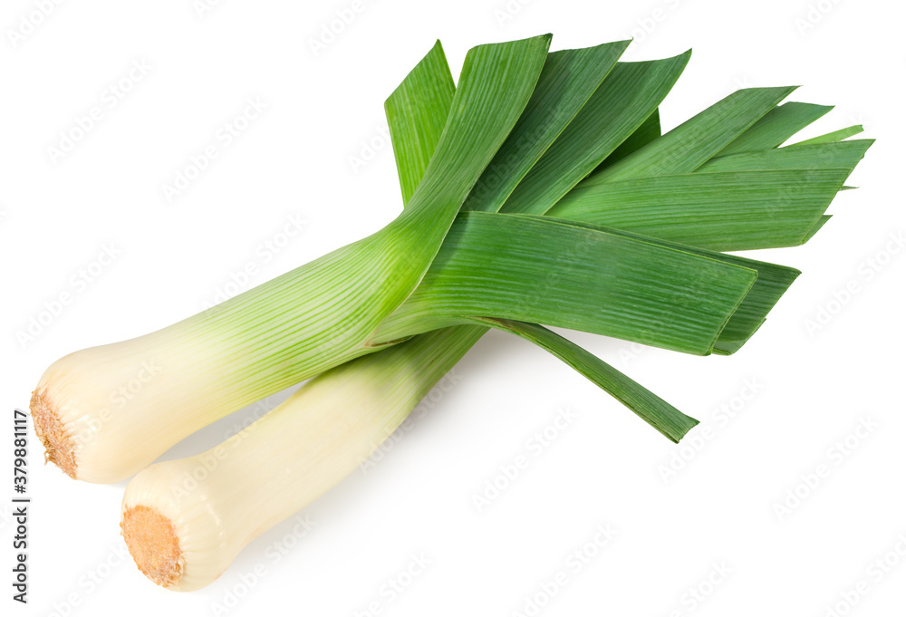 leek isolated on white background. with clipping path. full depth of field leek isolated on white background. with clipping path. full depth of field