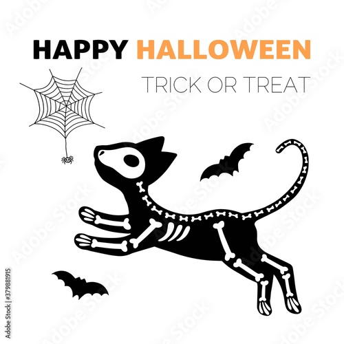 Vector Halloween postcard. Cat skeleton, spiderweb, isolated on white background