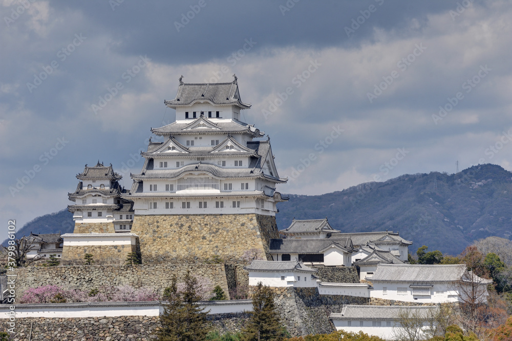 世界遺産姫路城と桜 世界遺産姫路城と桜