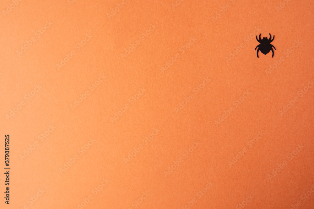 Top view of scary spiders on orange background with copy space Top view of scary spiders on orange background with copy space