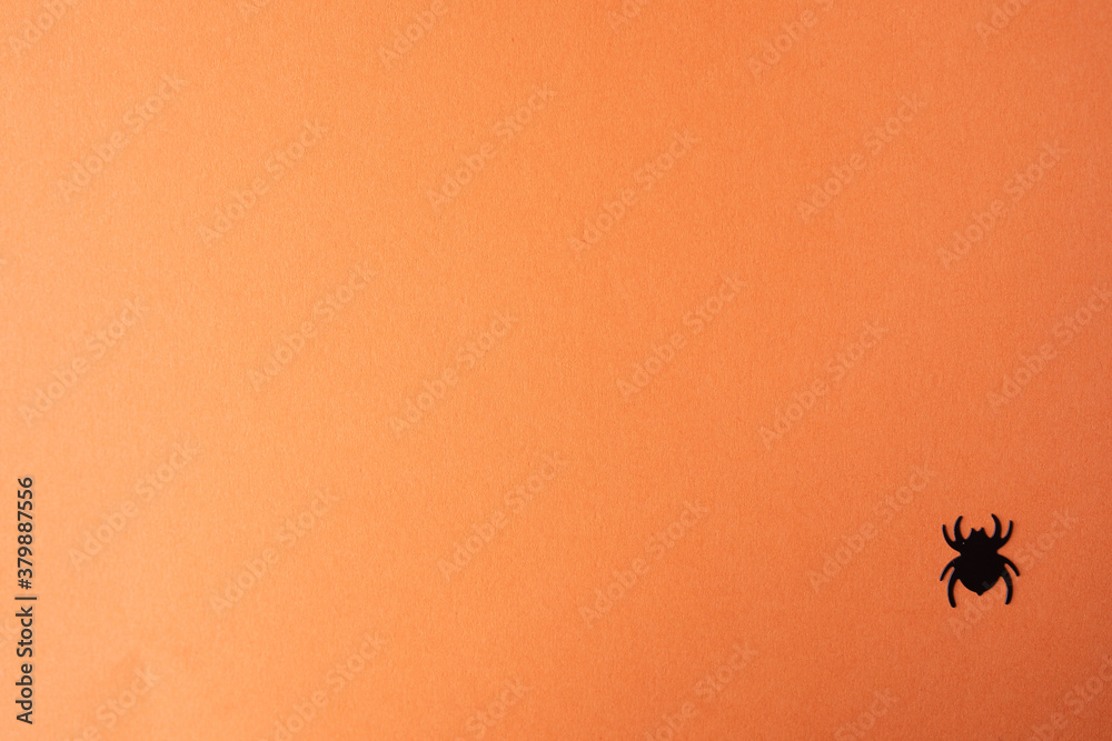 Top view of scary spiders on orange background with copy space