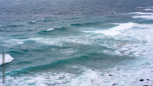 waves on the sea at the beach, windy shore, waves on the beach at the sea, island life, travel concept, soft focus