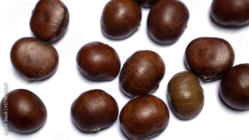 chestnut isolated on white background