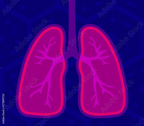 Lungs - human internal organ. Illustration of human lungs. Vector illustration of Respiratory system, healthy lungs anatomy flat medical organ icon.