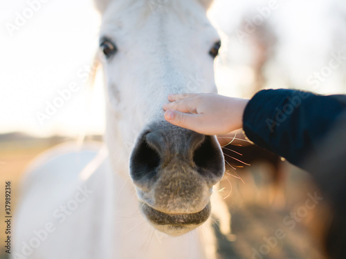 Up The Nose photo