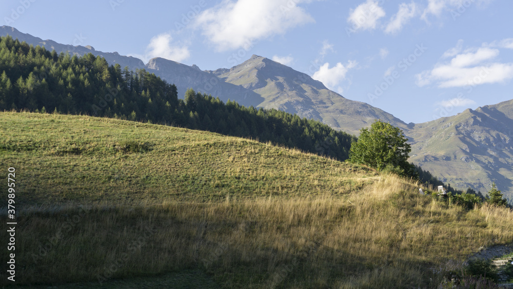 Golden light on a hill near Lignod, Aosta, with Mount Facciabella in background