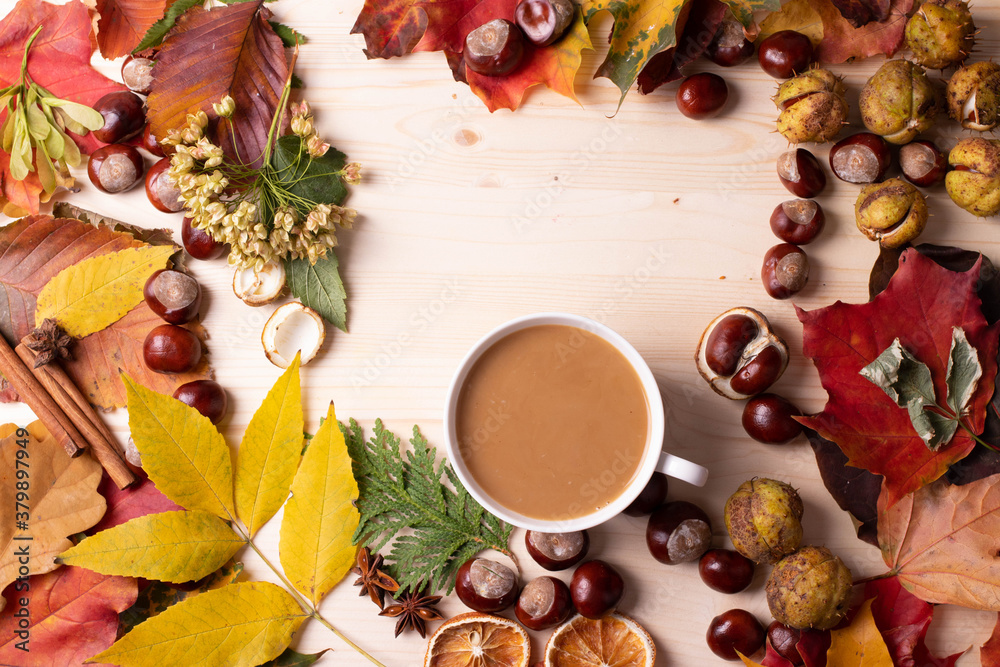 autumn concept autumn concept