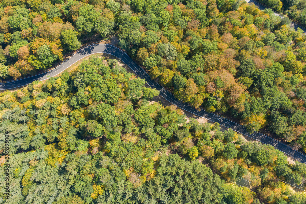 Aerial view of a winding road through the forest in the Taunus / Germany near Reckenroth