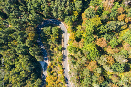 Aerial view of a winding road through the forest in the Taunus / Germany near Reckenroth