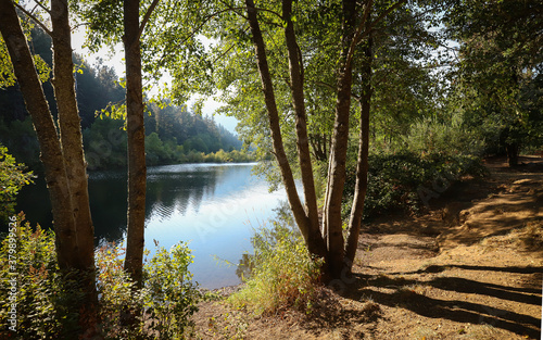 CAVE JUNCTION, OREGON, UNITED STATES - Aug 11, 2018: Illinois river forks state park trail photo