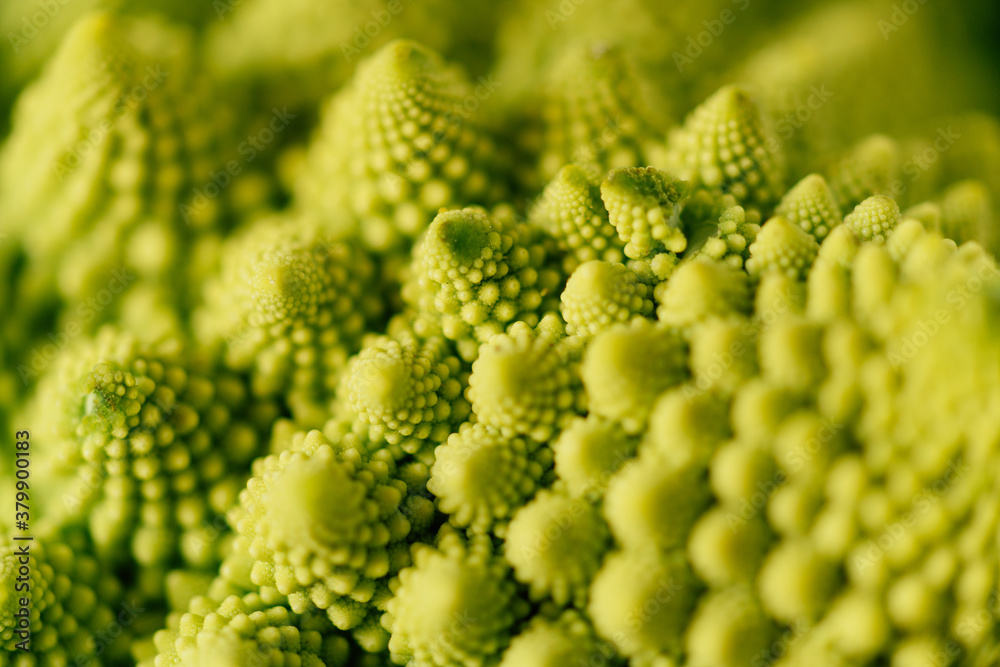 Macro shoot of romanescu Macro shoot of romanescu