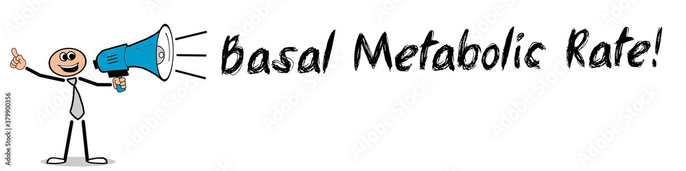 Basal Metabolic Rate! Basal Metabolic Rate!