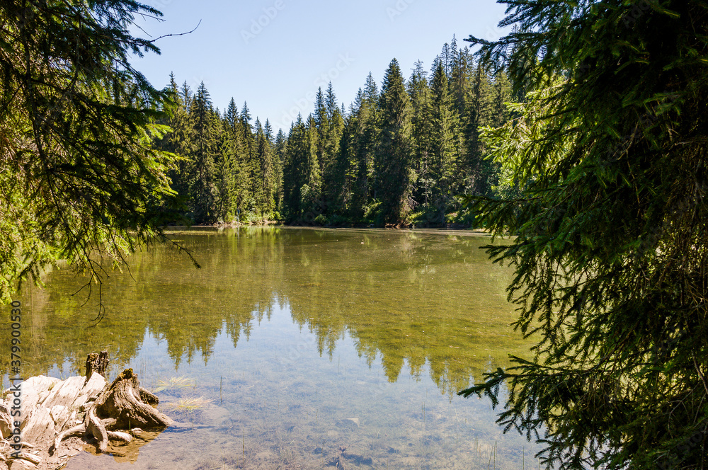 Flims, Lag Prau Tuleritg, Lag Tuleritg, Bergsee, Graubünden, Flimser Wald, Prau Pulté Bach, Caumasee, See, Wanderweg, Tannenwald, Rheinschlucht, Sommer, Alpen, Schweiz Flims, Lag Prau Tuleritg, Lag Tuleritg, Bergsee, Graubünden, Flimser Wald, Prau Pulté Bach, Caumasee, See, Wanderweg, Tannenwald, Rheinschlucht, Sommer, Alpen, Schweiz