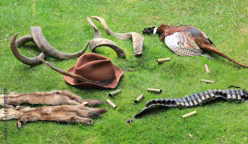Photos poaching prey,killing animals,hunting trophies