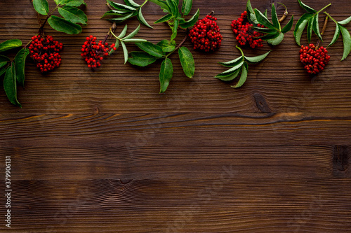 Wild red berries and herbs on a table top view  copy space