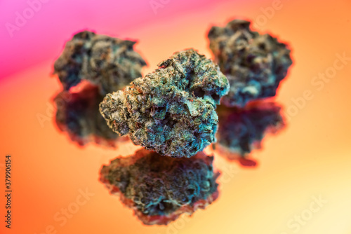 Close up of Marijuana 
