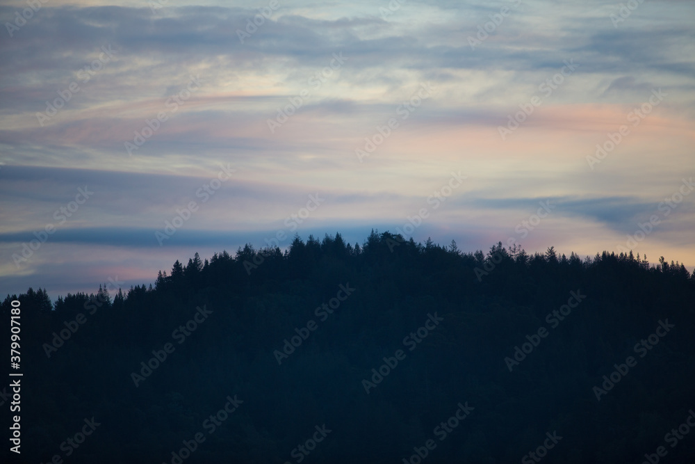 Scenic treetops against a pastel sky Scenic treetops against a pastel sky