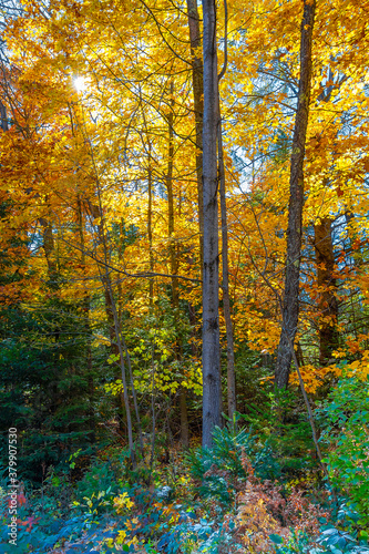 Cave Point Country Park at Door County in Wisconsin