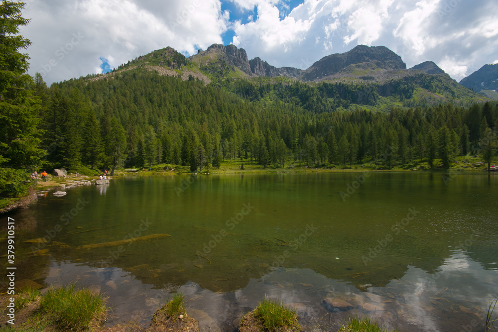Panoramic view of San Pellegrino lake in Val di Fassa, Trentino Alto-Adige, Italy