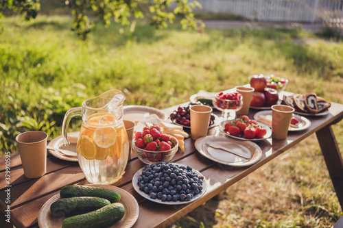Photo of summer picnic table concept homegrown fruits berries vegetables loaf bread lemon juice tea lemonade plates family gathering weekend sunny day green garden house outdoors