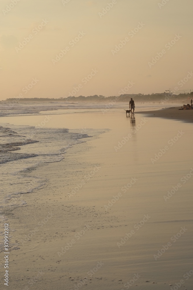 people ang dog walking on the beach