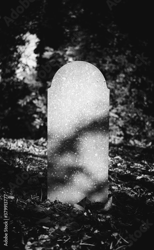 Old gravestone at a jewish cemetery photo