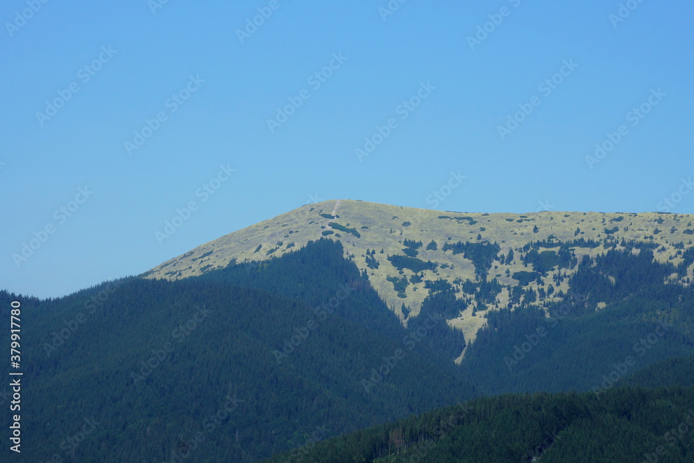 Mount Siniak (Ukraine Carpatians)