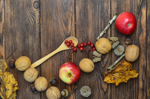 autumn background frame apples acorns rowan walnuts leaves still life top view copy space text