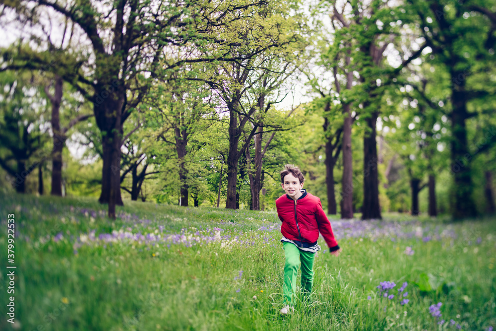 Boy running through field of bluebells Boy running through field of bluebells