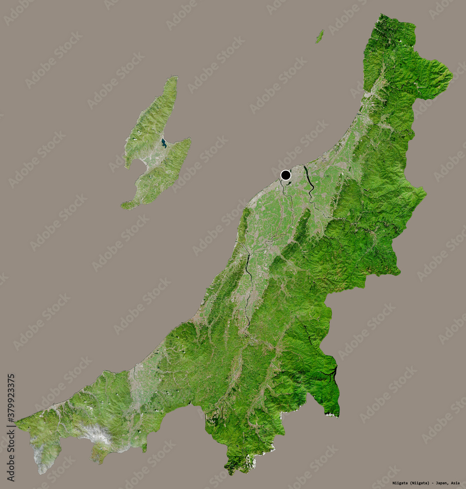 Niigata, prefecture of Japan, on solid. Satellite
